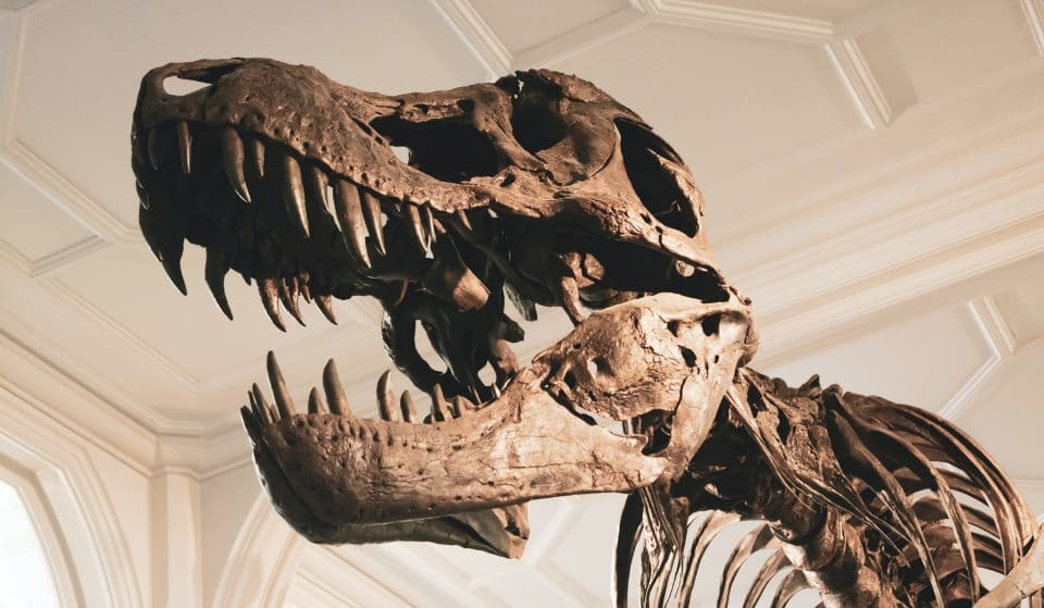 3 museus em São Paulo para aprender tudo sobre os dinossauros