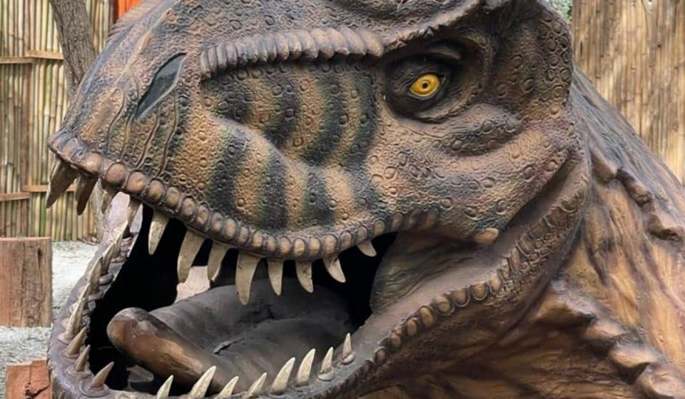 Canto dos Dinossauros leva as crianças em uma viagem ao período jurássico