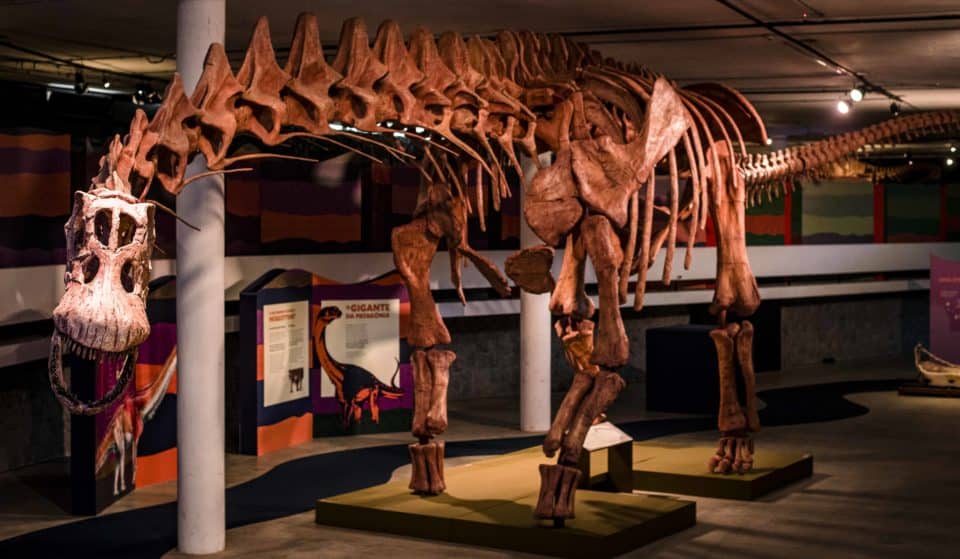 Parque Ibirapuera recebe exposição científica com o maior dinossauro que existiu na Terra