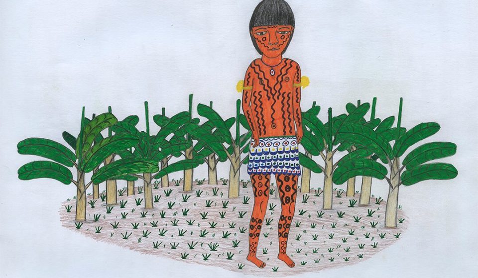 Últimas semanas para conferir a exposição ‘Nossa terra-floresta’, de Joseca Yanomami, no MASP
