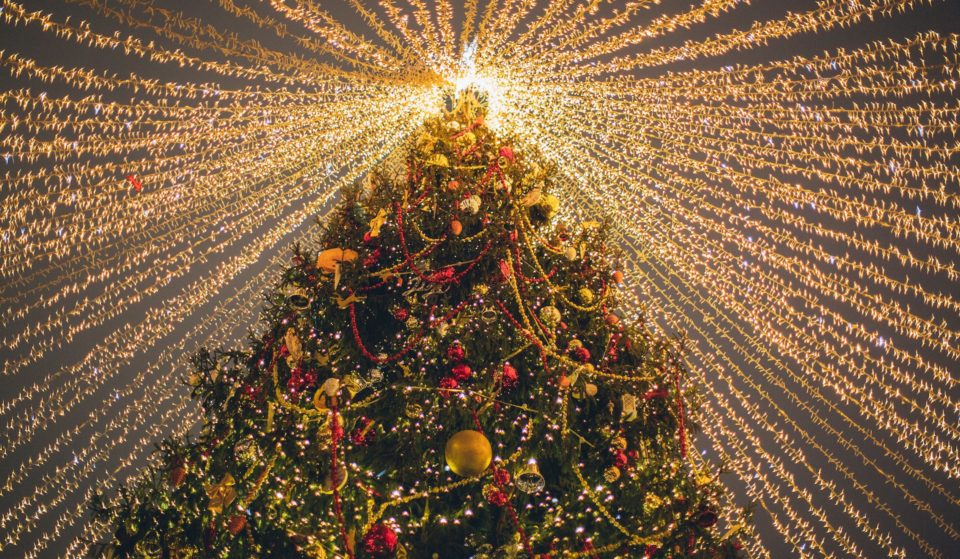 4 árvores de Natal que brilham em São Paulo este ano