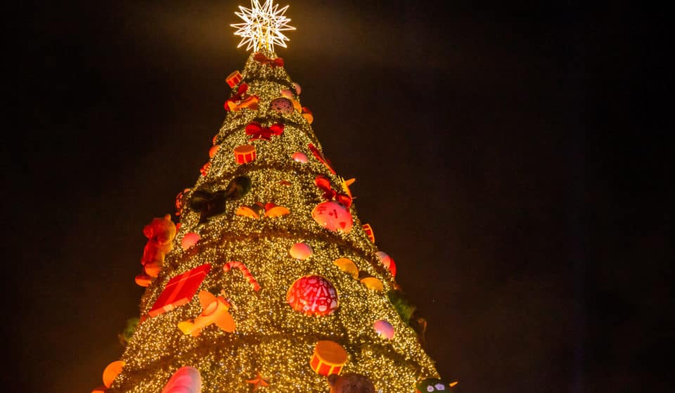 Luzes da tradicional Árvore de Natal de São Paulo acendem-se neste sábado